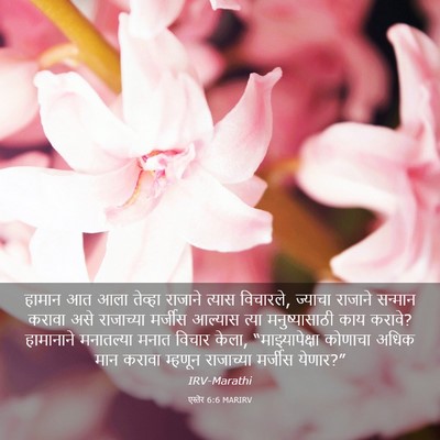 Picture 03 - एस्तेर 6:6 MARIRV - हामान आत आला - Bible Verse Picture