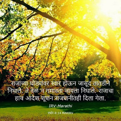 Picture 03 - एस्तेर 8:14 MARIRV - राजाच्या - Bible Verse Picture