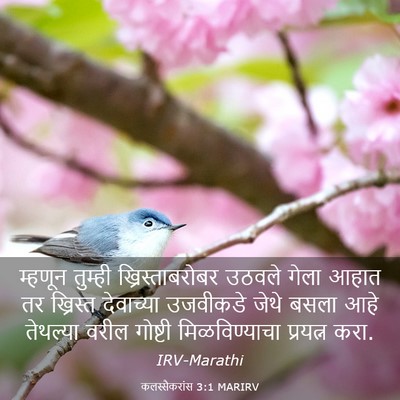 Picture 03 - कलस्सैकरांस 3:1 MARIRV - म्हणून तुम्ही - Bible Verse Picture