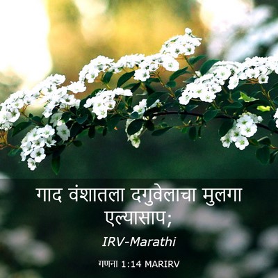 Picture 03 - गणना 1:14 MARIRV - गाद वंशातला - Bible Verse Picture
