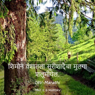 Picture 03 - गणना 1:6 MARIRV - शिमोन वंशातला - Bible Verse Picture