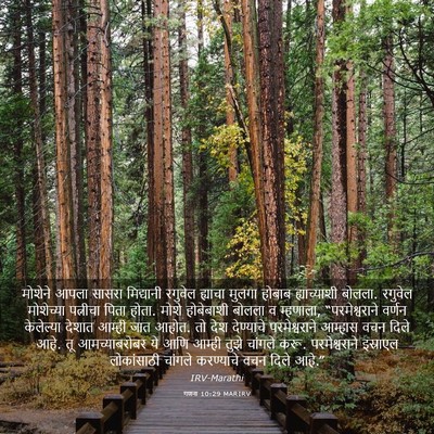 Picture 03 - गणना 10:29 MARIRV - मोशेने आपला सासरा - Bible Verse Picture