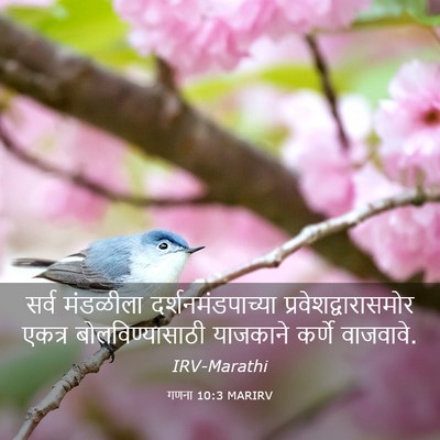 Picture 03 - गणना 10:3 MARIRV - सर्व मंडळीला - Bible Verse Picture