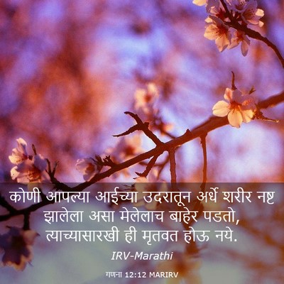 Picture 03 - गणना 12:12 MARIRV - कोणी आपल्या - Bible Verse Picture