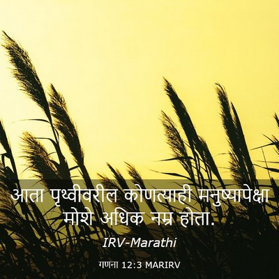 Picture 03 - गणना 12:3 MARIRV - आता पृथ्वीवरील - Bible Verse Picture