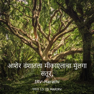 Picture 03 - गणना 13:13 MARIRV - आशेर वंशातला - Bible Verse Picture
