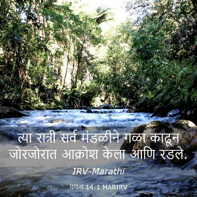 Picture 03 - गणना 14:1 MARIRV - त्या रात्री सर्व - Bible Verse Picture