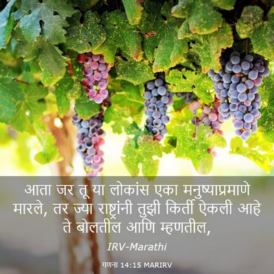 Picture 03 - गणना 14:15 MARIRV - आता जर तू या लोकांस - Bible Verse Picture