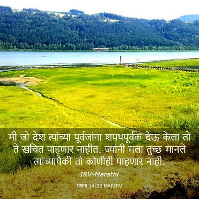 Picture 03 - गणना 14:23 MARIRV - मी जो देश - Bible Verse Picture
