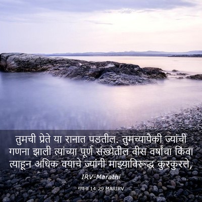 Picture 03 - गणना 14:29 MARIRV - तुमची प्रेते या - Bible Verse Picture