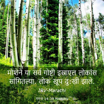Picture 03 - गणना 14:39 MARIRV - मोशेने या सर्व - Bible Verse Picture