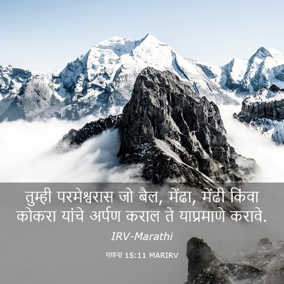 Picture 03 - गणना 15:11 MARIRV - तुम्ही परमेश्वरास - Bible Verse Picture