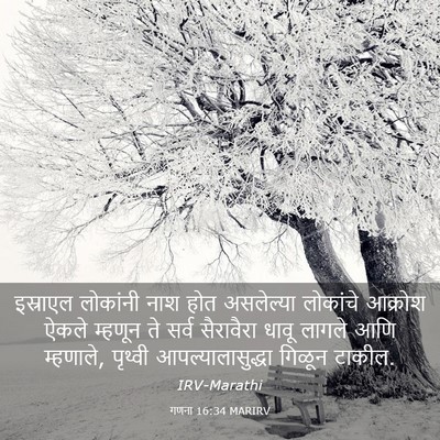 Picture 03 - गणना 16:34 MARIRV - इस्राएल लोकांनी - Bible Verse Picture