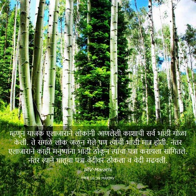 Picture 03 - गणना 16:39 MARIRV - म्हणून याजक - Bible Verse Picture