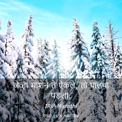 Picture 03 - गणना 16:4 MARIRV - जेव्हा मोशेने ते - Bible Verse Picture