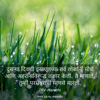 Picture 03 - गणना 16:41 MARIRV - दुसऱ्या दिवशी - Bible Verse Picture
