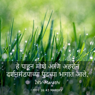 Picture 03 - गणना 16:43 MARIRV - हे पाहून मोशे आणि - Bible Verse Picture