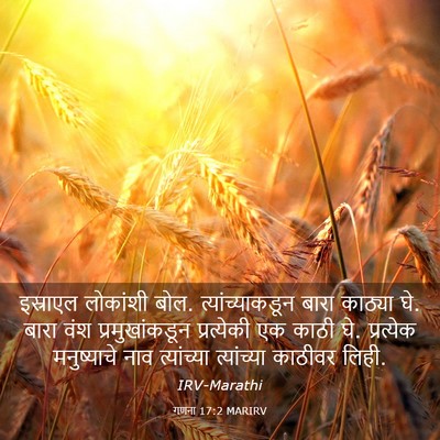 Picture 03 - गणना 17:2 MARIRV - इस्राएल लोकांशी - Bible Verse Picture