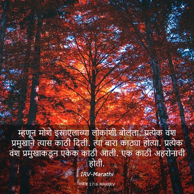Picture 03 - गणना 17:6 MARIRV - म्हणून मोशे - Bible Verse Picture
