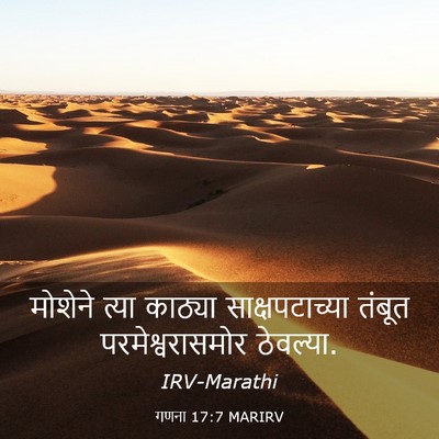 Picture 03 - गणना 17:7 MARIRV - मोशेने त्या - Bible Verse Picture