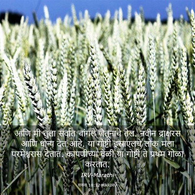 Picture 03 - गणना 18:12 MARIRV - आणि मी तुला सर्वात - Bible Verse Picture