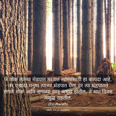 Picture 03 - गणना 19:14 MARIRV - जे लोक त्यांच्या - Bible Verse Picture