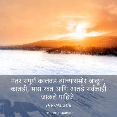 Picture 03 - गणना 19:5 MARIRV - नंतर संपूर्ण - Bible Verse Picture