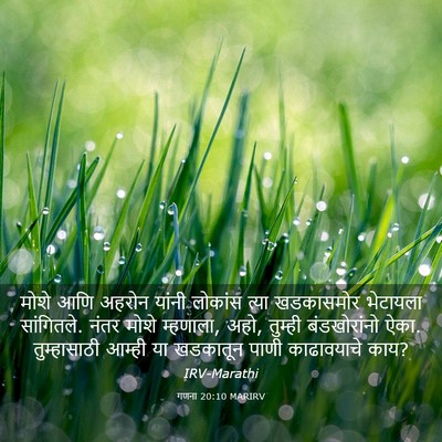 Picture 03 - गणना 20:10 MARIRV - मोशे आणि अहरोन - Bible Verse Picture