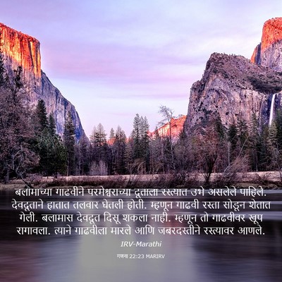 Picture 03 - गणना 22:23 MARIRV - बलामाच्या गाढवीने - Bible Verse Picture
