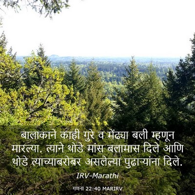 Picture 03 - गणना 22:40 MARIRV - बालाकाने काही - Bible Verse Picture