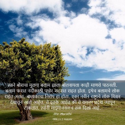Picture 03 - गणना 22:5 MARIRV - त्याने बौराचा - Bible Verse Picture