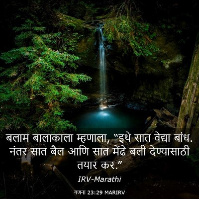 Picture 03 - गणना 23:29 MARIRV - बलाम बालाकाला - Bible Verse Picture