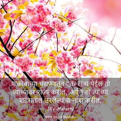 Picture 03 - गणना 24:19 MARIRV - याकोबाच्या - Bible Verse Picture