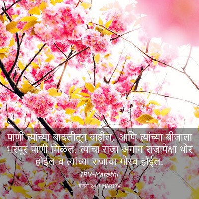 Picture 03 - गणना 24:7 MARIRV - पाणी त्यांच्या - Bible Verse Picture
