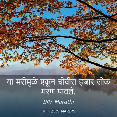 Picture 03 - गणना 25:9 MARIRV - या मरीमुळे एकून - Bible Verse Picture