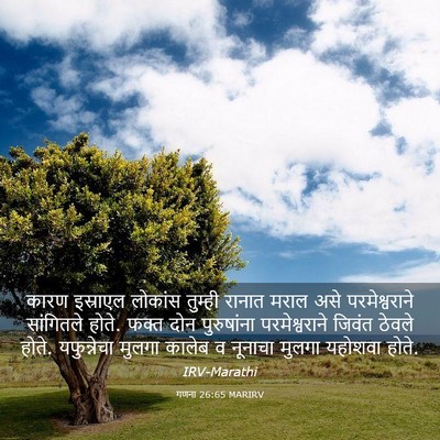 Picture 03 - गणना 26:65 MARIRV - कारण इस्राएल - Bible Verse Picture