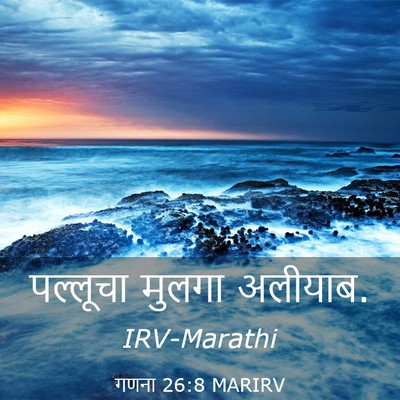 Picture 03 - गणना 26:8 MARIRV - पल्लूचा मुलगा - Bible Verse Picture