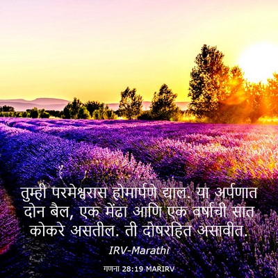 Picture 03 - गणना 28:19 MARIRV - तुम्ही परमेश्वरास - Bible Verse Picture