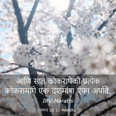 Picture 03 - गणना 28:21 MARIRV - आणि सात कोकरापैकी - Bible Verse Picture