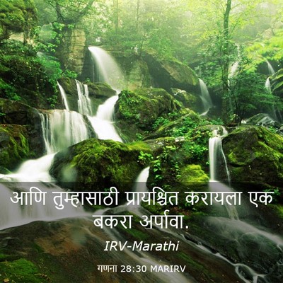 Picture 03 - गणना 28:30 MARIRV - आणि तुम्हासाठी - Bible Verse Picture
