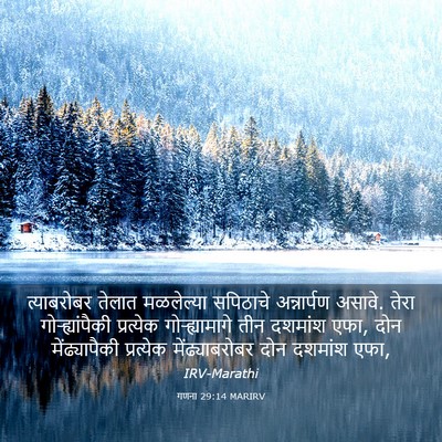 Picture 03 - गणना 29:14 MARIRV - त्याबरोबर तेलात - Bible Verse Picture