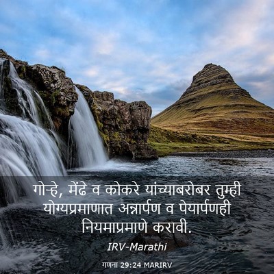 Picture 03 - गणना 29:24 MARIRV - गोऱ्हे, मेंढे व - Bible Verse Picture