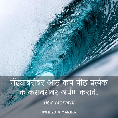 Picture 03 - गणना 29:4 MARIRV - मेंढ्याबरोबर आठ - Bible Verse Picture