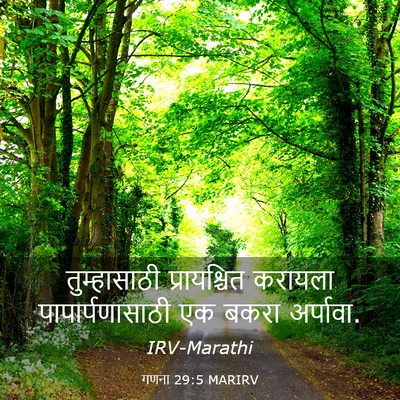 Picture 03 - गणना 29:5 MARIRV - तुम्हासाठी - Bible Verse Picture