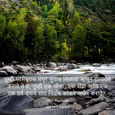 Picture 03 - गणना 29:8 MARIRV - तुम्ही परमेश्वरास - Bible Verse Picture