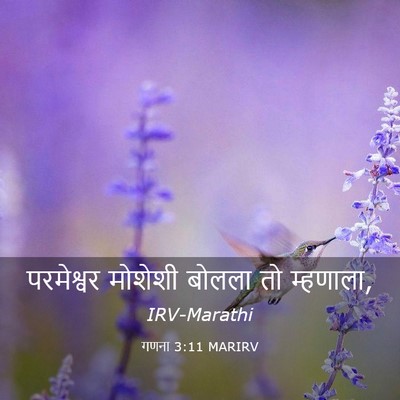 Picture 03 - गणना 3:11 MARIRV - परमेश्वर मोशेशी - Bible Verse Picture