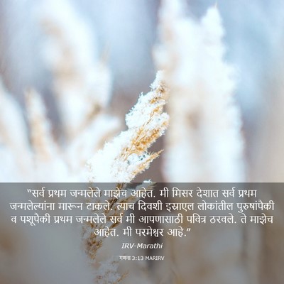 Picture 03 - गणना 3:13 MARIRV - “सर्व प्रथम - Bible Verse Picture