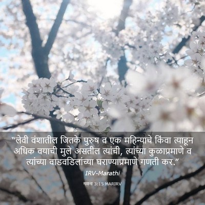 Picture 03 - गणना 3:15 MARIRV - “लेवी वंशातील - Bible Verse Picture