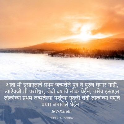 Picture 03 - गणना 3:41 MARIRV - आता मी इस्राएलाचे - Bible Verse Picture