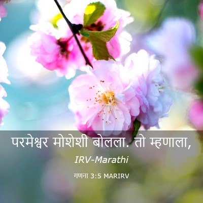 Picture 03 - गणना 3:5 MARIRV - परमेश्वर मोशेशी - Bible Verse Picture